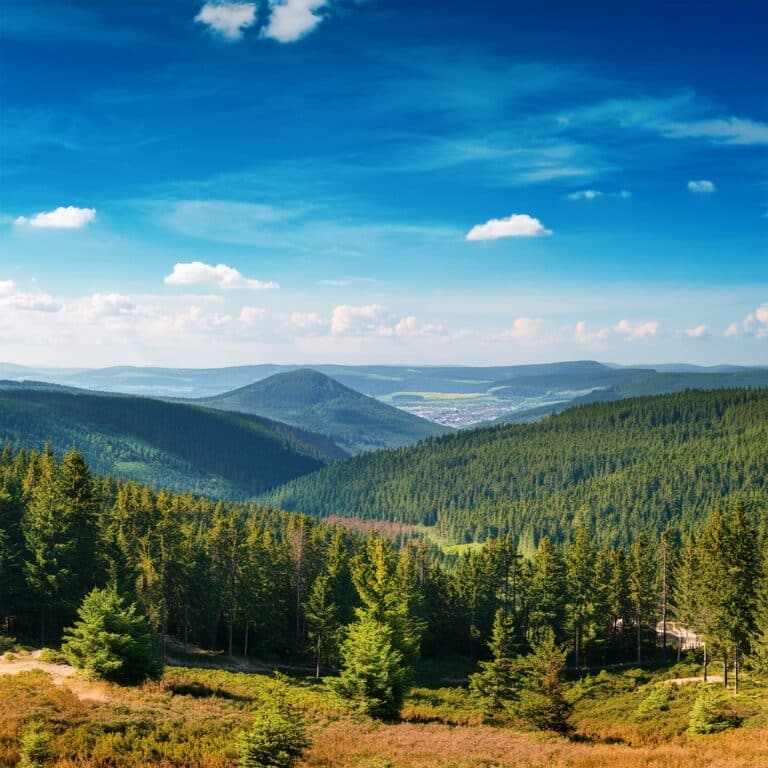 Harz Nationalpark