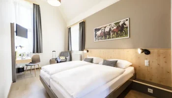 2-dz-doppelbett-doppelzimmer-jufa-hotel-maria-lankowitz-wandbild-1440x960-3-kopie.jpg