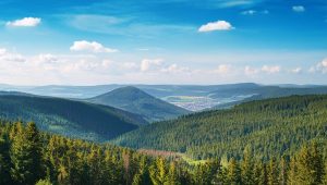 Harz Nationalpark