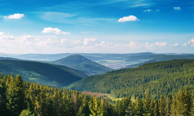 Harz Nationalpark