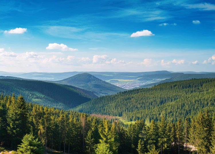 Harz Nationalpark