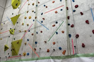 IMG_8454