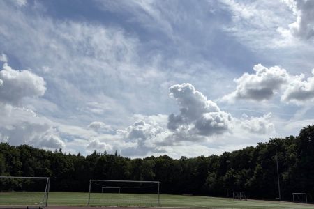 IMG_8460