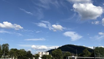 IMG_8482
