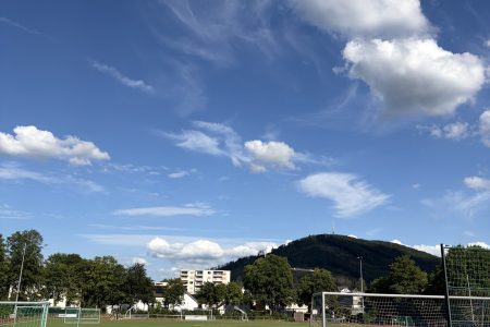 IMG_8482