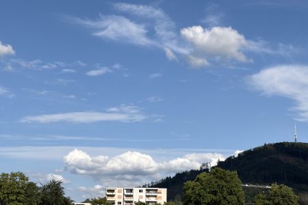IMG_8483