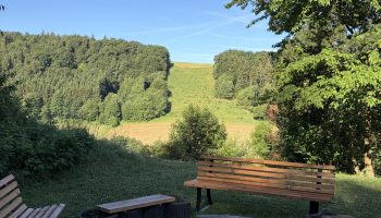 IMG_8500