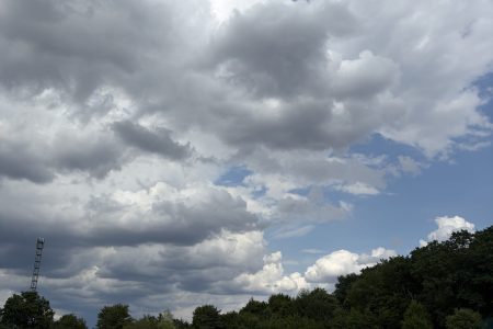 IMG_8522