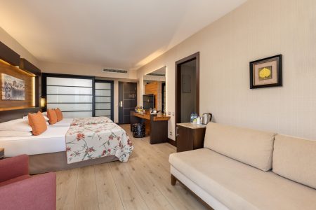 STANDART ROOM-ZjRH