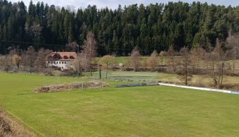 WhatsApp Image 2026-03-23 at 11.00.41