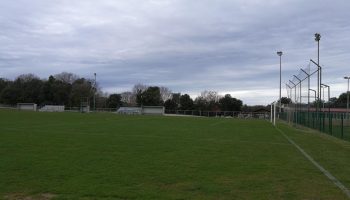 Trainingsgelände mit Naturrasen-Spielfeldern.