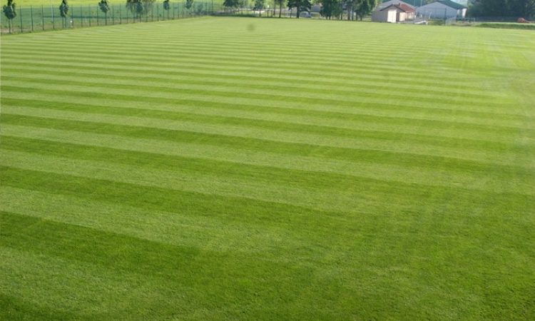 Rasenplatz des Fussball Trainingslager Sportschule Suedeifel