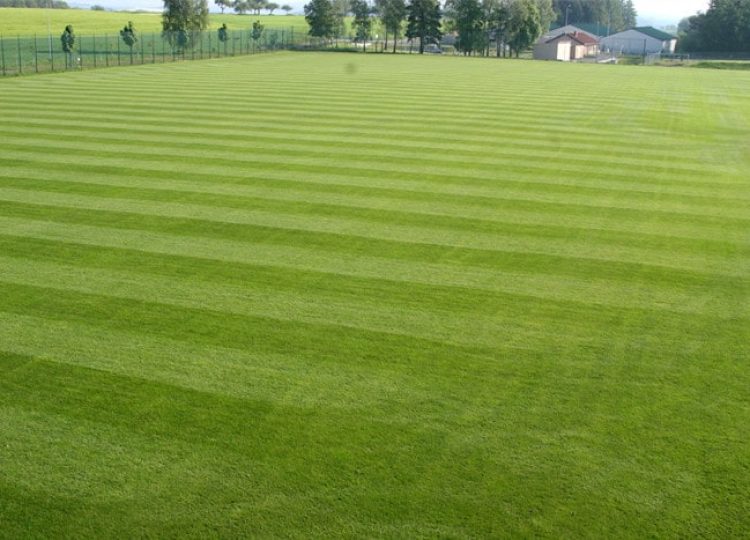 Rasenplatz des Fussball Trainingslager Sportschule Suedeifel